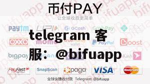 币付Pay：重塑菲律宾第三方支付行业的新篇章