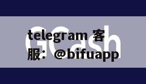 引领菲律宾支付新纪元：币付GCash——您的跨境代收代付专家