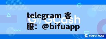 菲律宾支付专家：专注信誉，精诚合作，提供全方位支付解决方案